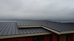 Best Metal Roofing Installation  in Roswell, NM